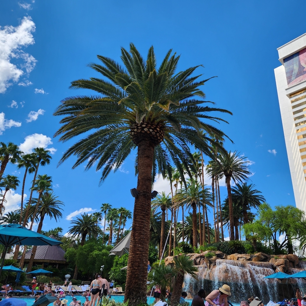 All Offers Welcome... I'm Negotiable !